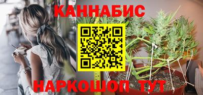 крисы Малгобек