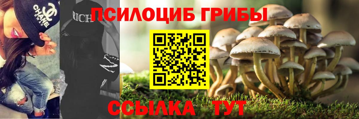 Псилоцибиновые грибы MAGIC MUSHROOMS Юрга